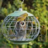 Gardman Nuttery Squirrel Proof Seed Feeder