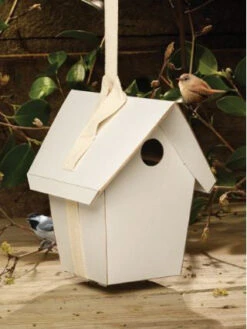 Totally Green Birdhouse Kit