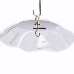 Acrylic Weather Guard-4 Colors -Bird Haven Outlet Store weather guard clear